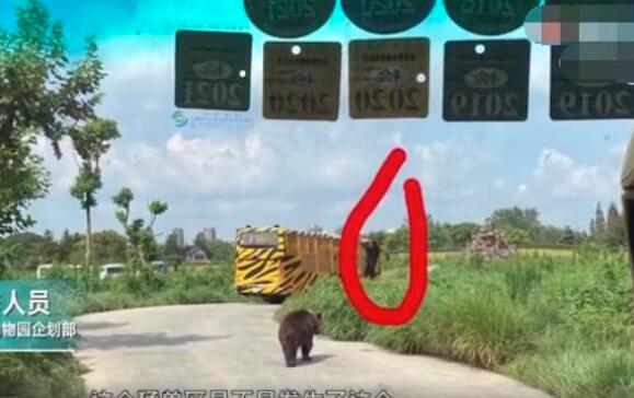 太吓人了！野生动物园工作人员遭熊袭击身亡现场图曝光