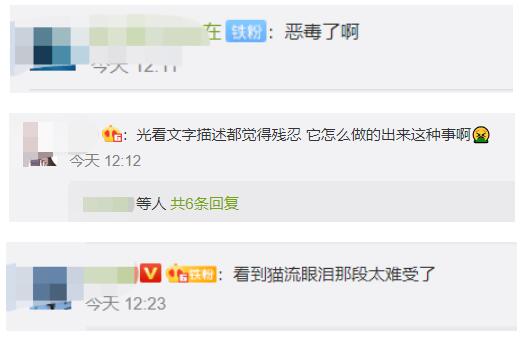 太原一男子当街虐猫插图3 太原一男子当街虐猫-WordPress极简博客