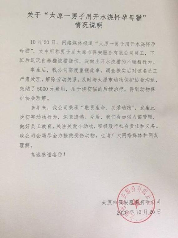 太原一男子当街虐猫插图4 太原一男子当街虐猫-WordPress极简博客