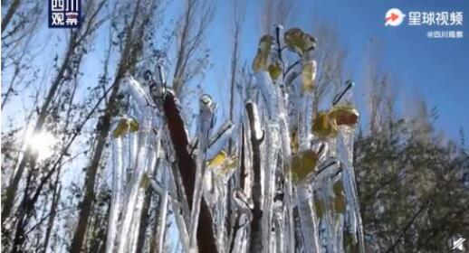超震撼!新疆出现罕见冰凌奇观 罕见