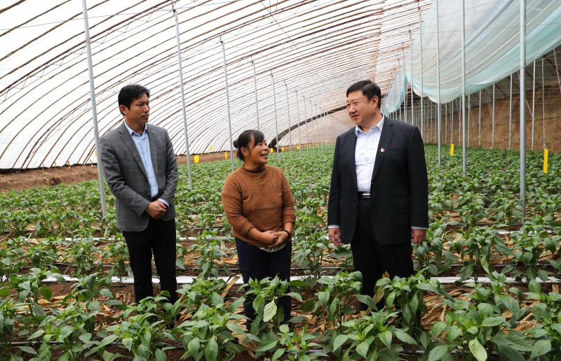 赵金秀的锦绣未来