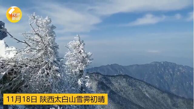 秦岭太白山雪后雾凇美景 雾凇究竟是个什么景？