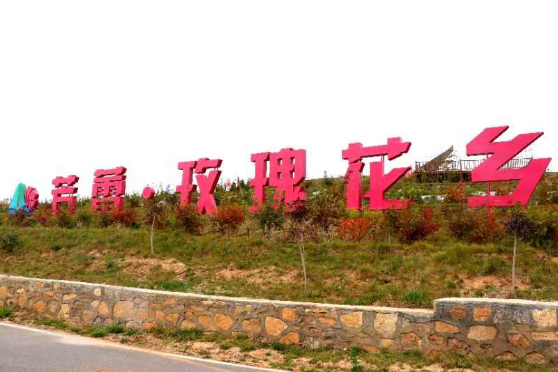 【济南市市花增选活动】全国唯一以玫瑰命名的镇 来了你就会爱上！