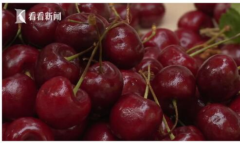 女子5天吃6斤车厘子中毒腹部绞痛上洗手间才竟然血便