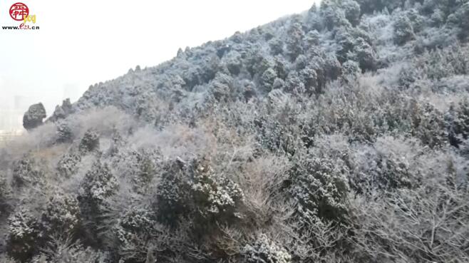 济南初雪山中盛景震撼来袭
