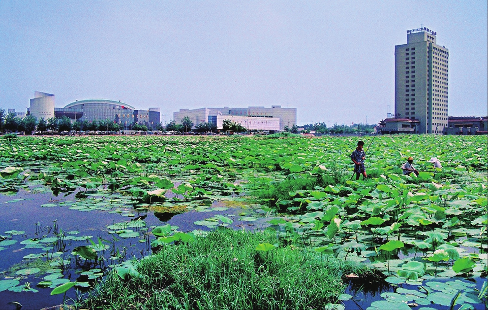 北园:从十里荷香到车水马龙