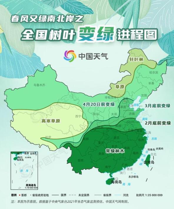 全国树叶变绿地图出炉 你们那树叶变绿了吗?