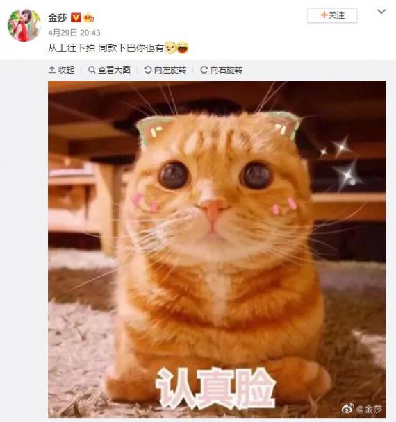 金莎回应下巴变尖:从上往下拍 同款下巴你也有