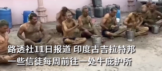 迷惑行为！印度民众涂满牛粪抵御新冠 还膜拜母牛