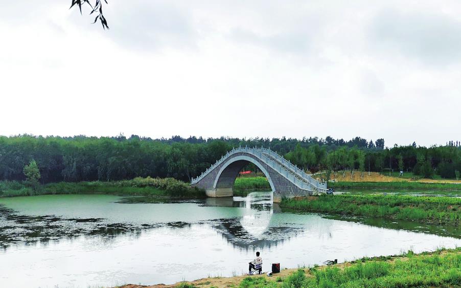 小清河源头湿地公园生机盎然