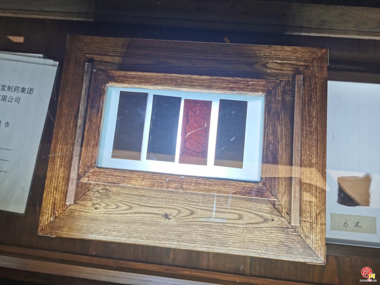 穿越古今，细述宏济堂扎根济南的沧海桑田