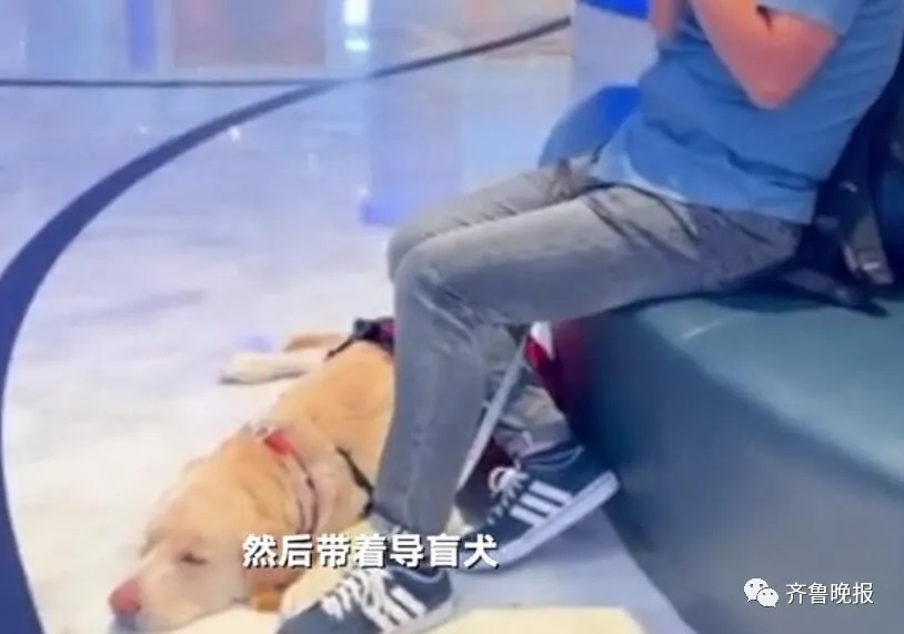 最新后续！带导盲犬住酒店遭拒 珠海长隆致歉 网友却不买账