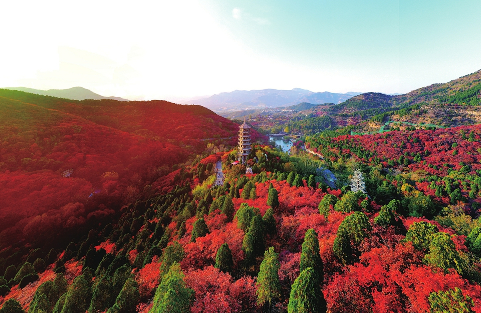 红叶谷漫山红遍 景区倡导游客错峰出行