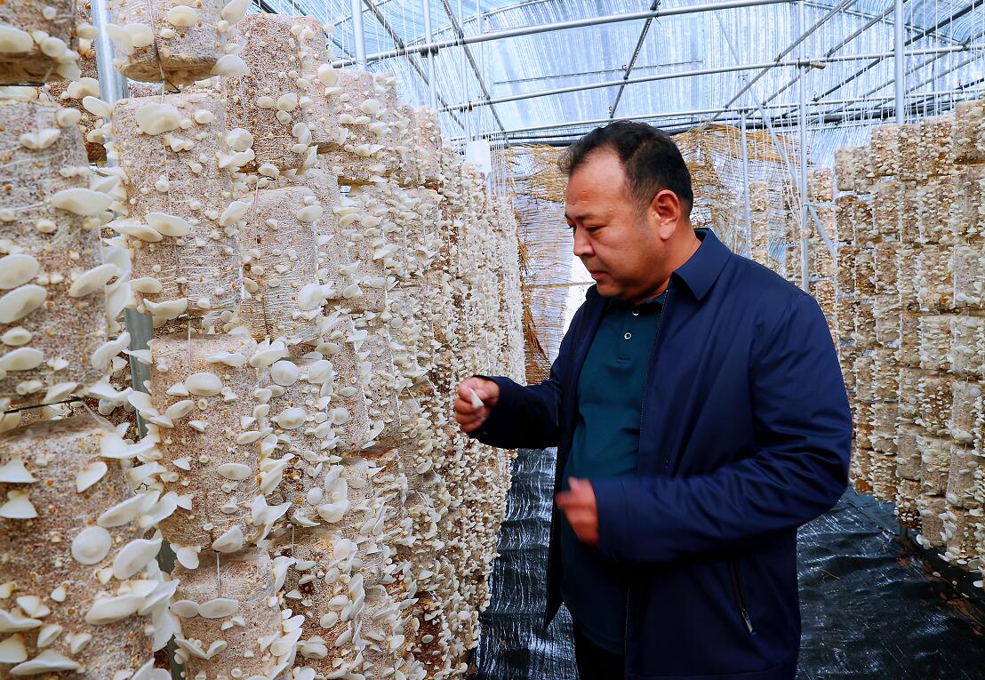 融媒见证能人书记回村路舍下老板身份的他们灰头土脸却闪闪发光