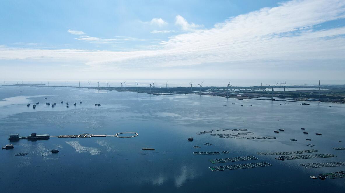 2020年全省海洋生產總值13187億元山東海洋生物醫藥產業增加值連續3年