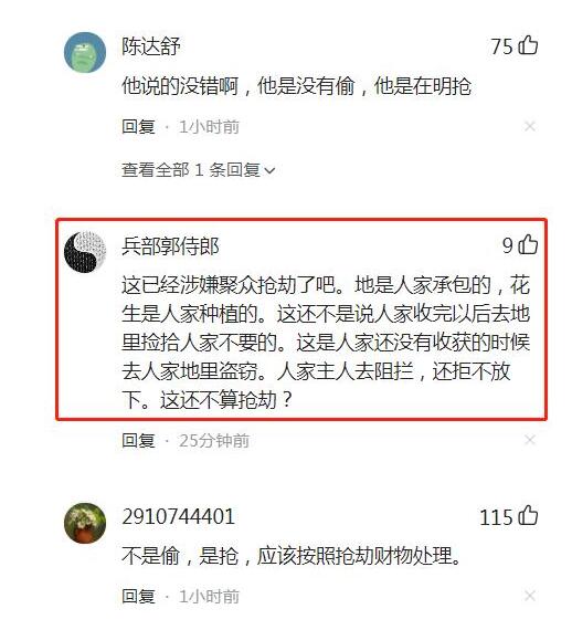 种植户30亩花生遭盗抢，村民：他敢怎么着我？详情始末曝光