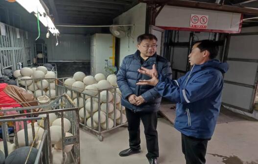 海南“村VA”这场草根赛事如何站上更大舞台？