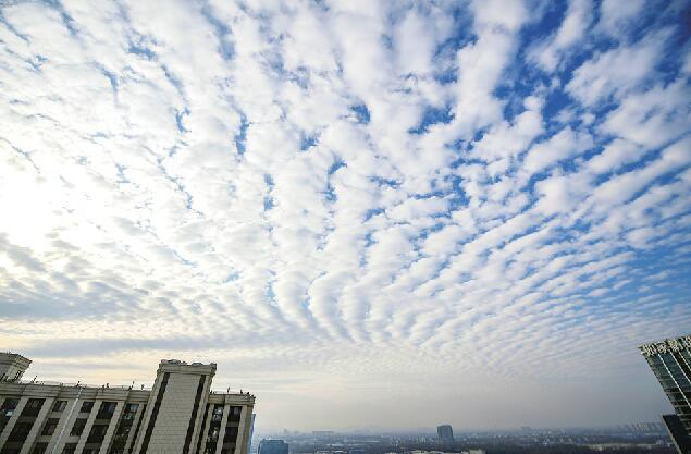 魚鱗雲_魚鱗雲是要地震嗎_魚鱗雲圖片