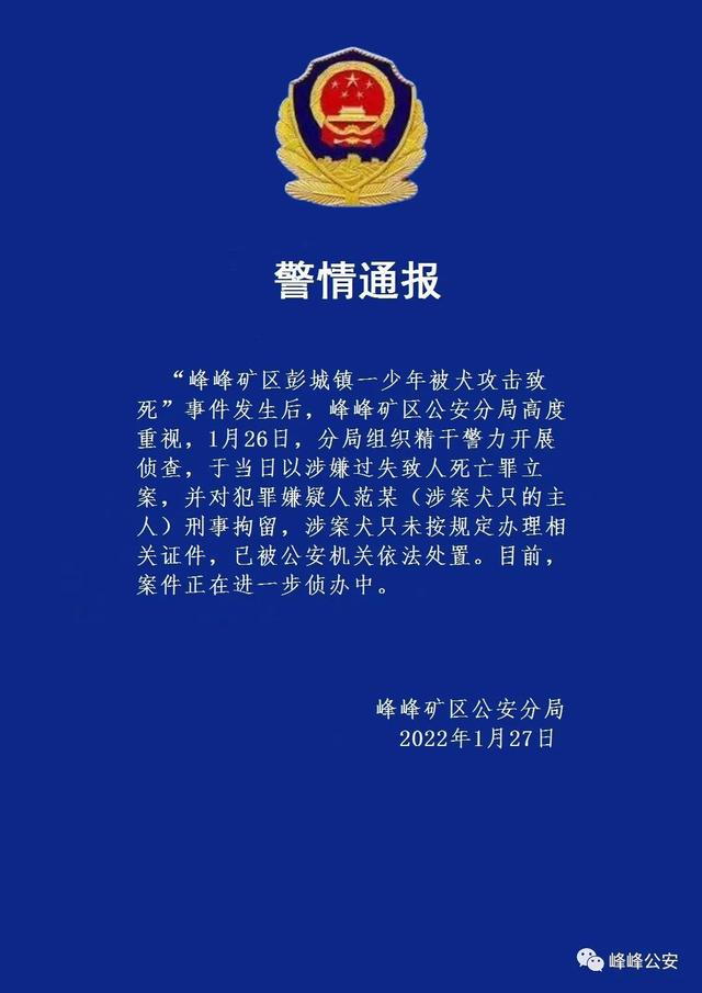 悲剧！男孩被狗咬死 警方:狗主人被刑拘