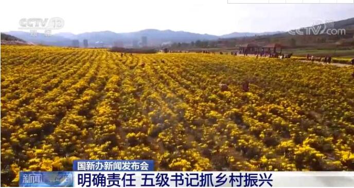 聚焦2022年乡村振兴明确责任五级书记抓乡村振兴稳扎稳打推进