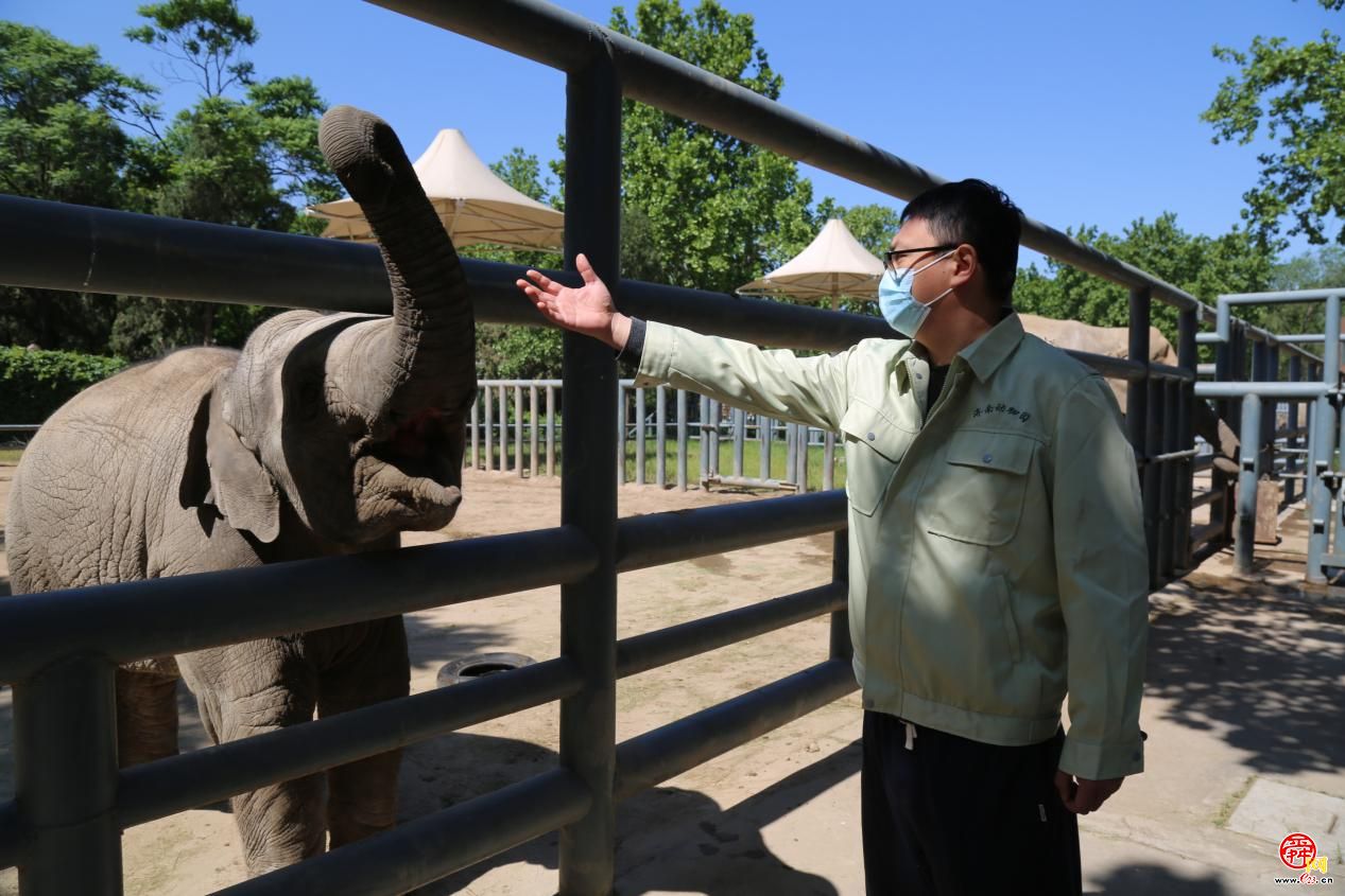 【舜网特别策划】疫情之下，20个职业的第一视角