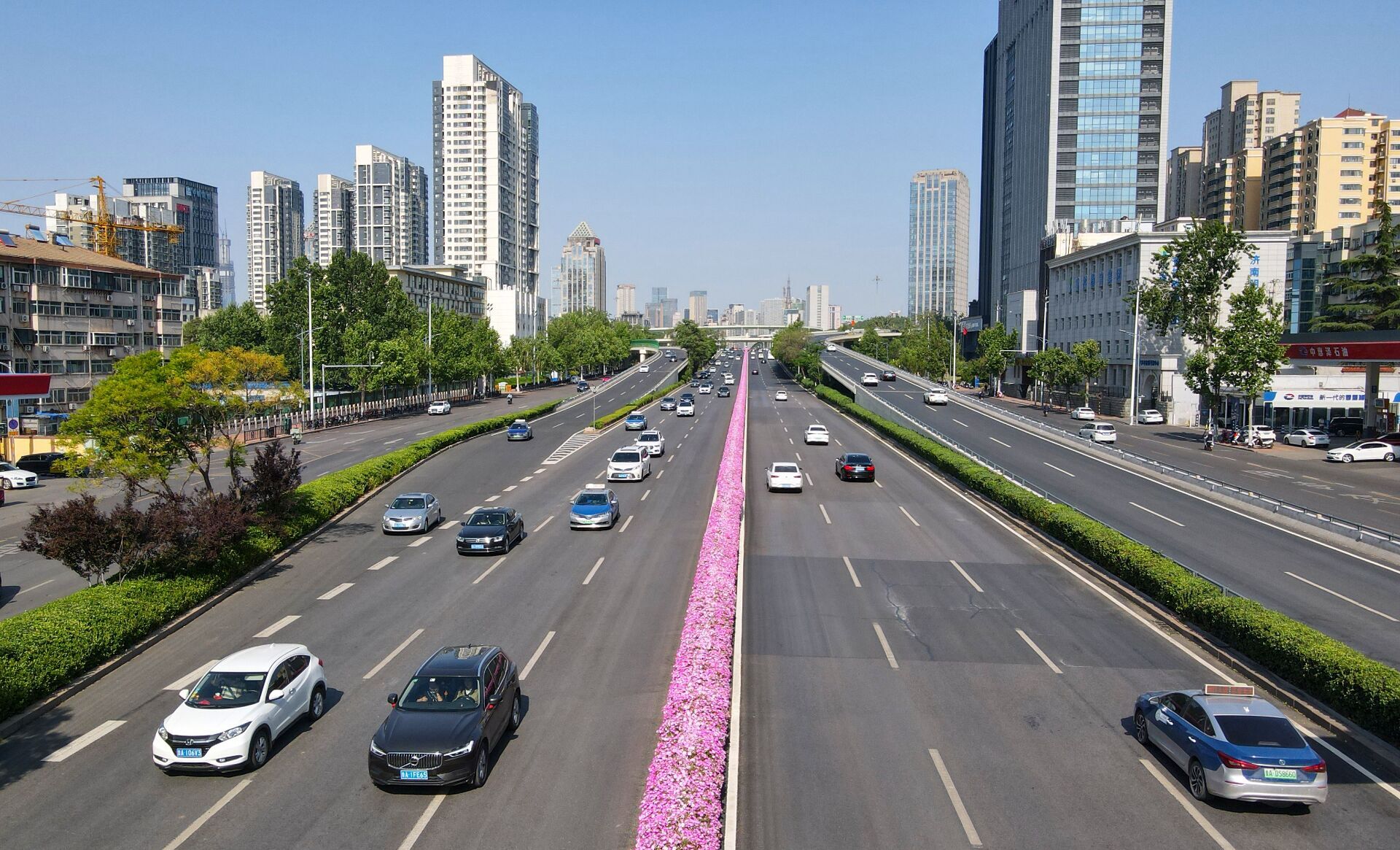 一路生花济南燕山立交桥变身绚烂花路