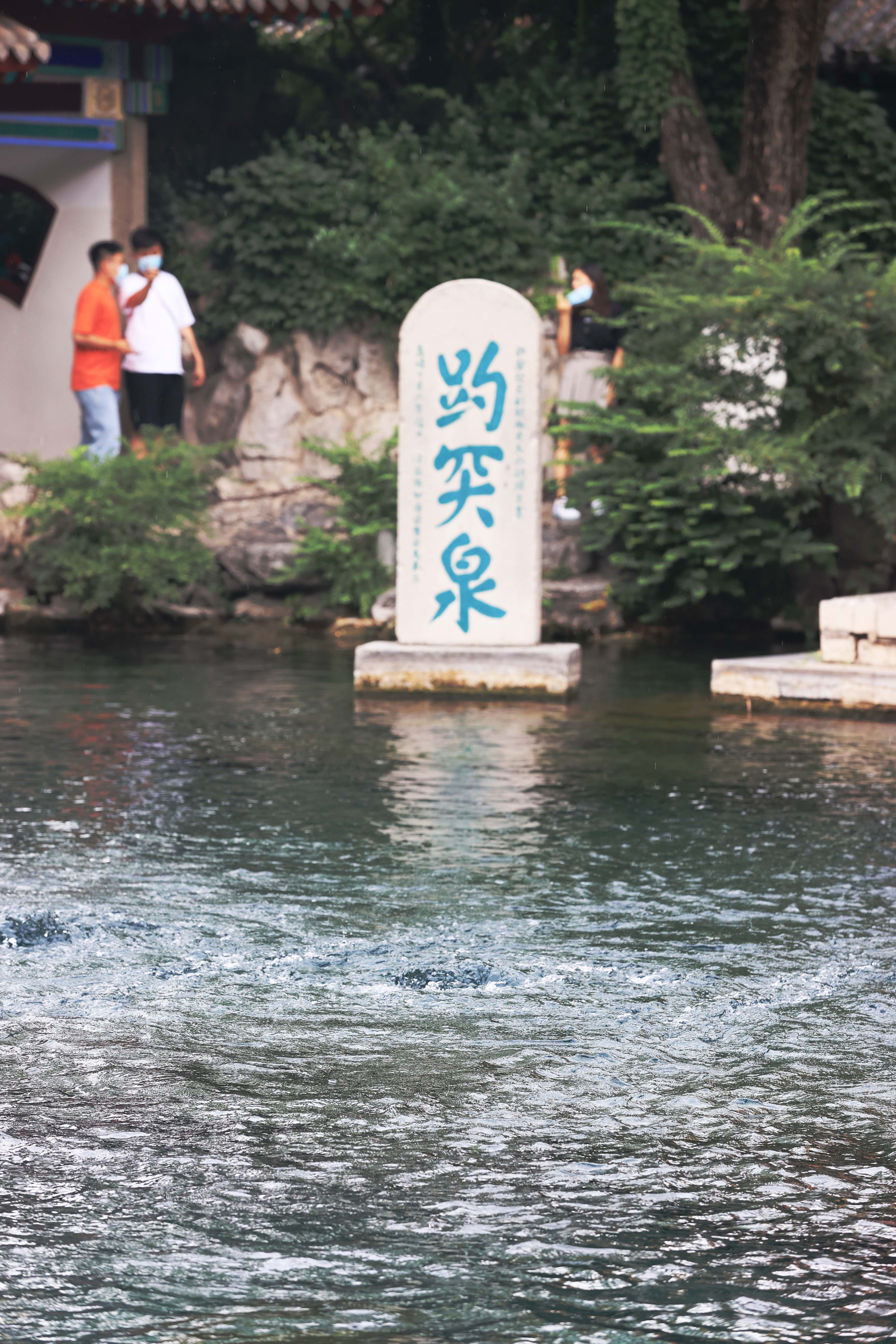 济南趵突泉遇雨助力水位止跌回升