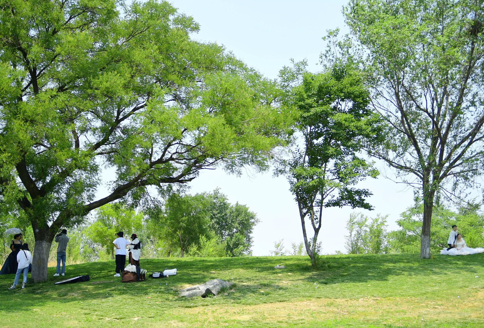 济南这处湿地公园的大草坪成了浪漫集结地