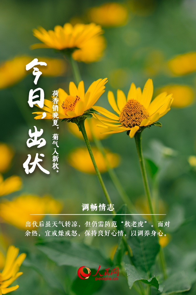 今日出伏:三伏适已过,骄阳化为霖