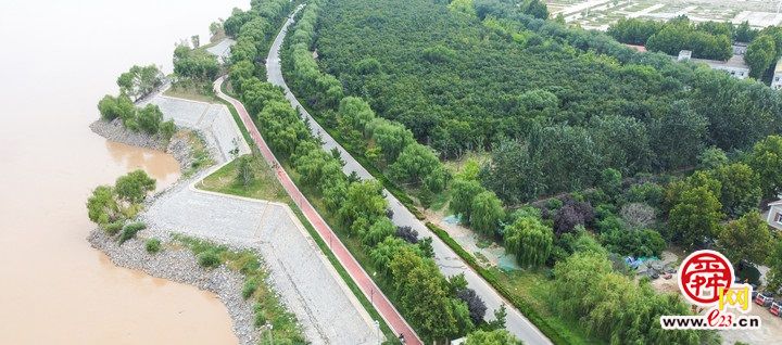 “红丝带”绕绿林  黄河百里风景区绿化提升