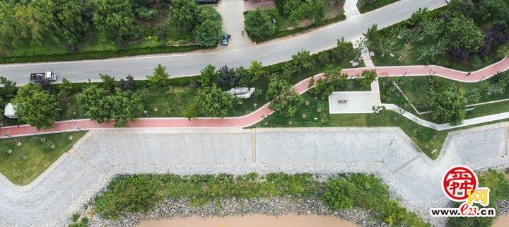 “红丝带”绕绿林  黄河百里风景区绿化提升