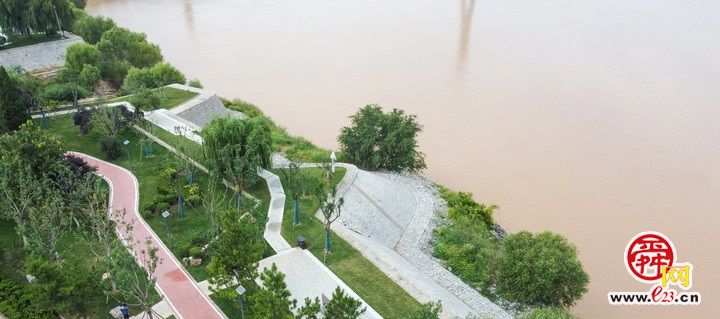 “红丝带”绕绿林  黄河百里风景区绿化提升