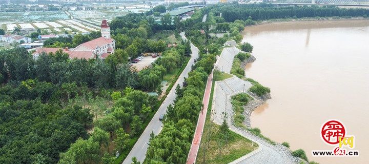 “红丝带”绕绿林  黄河百里风景区绿化提升