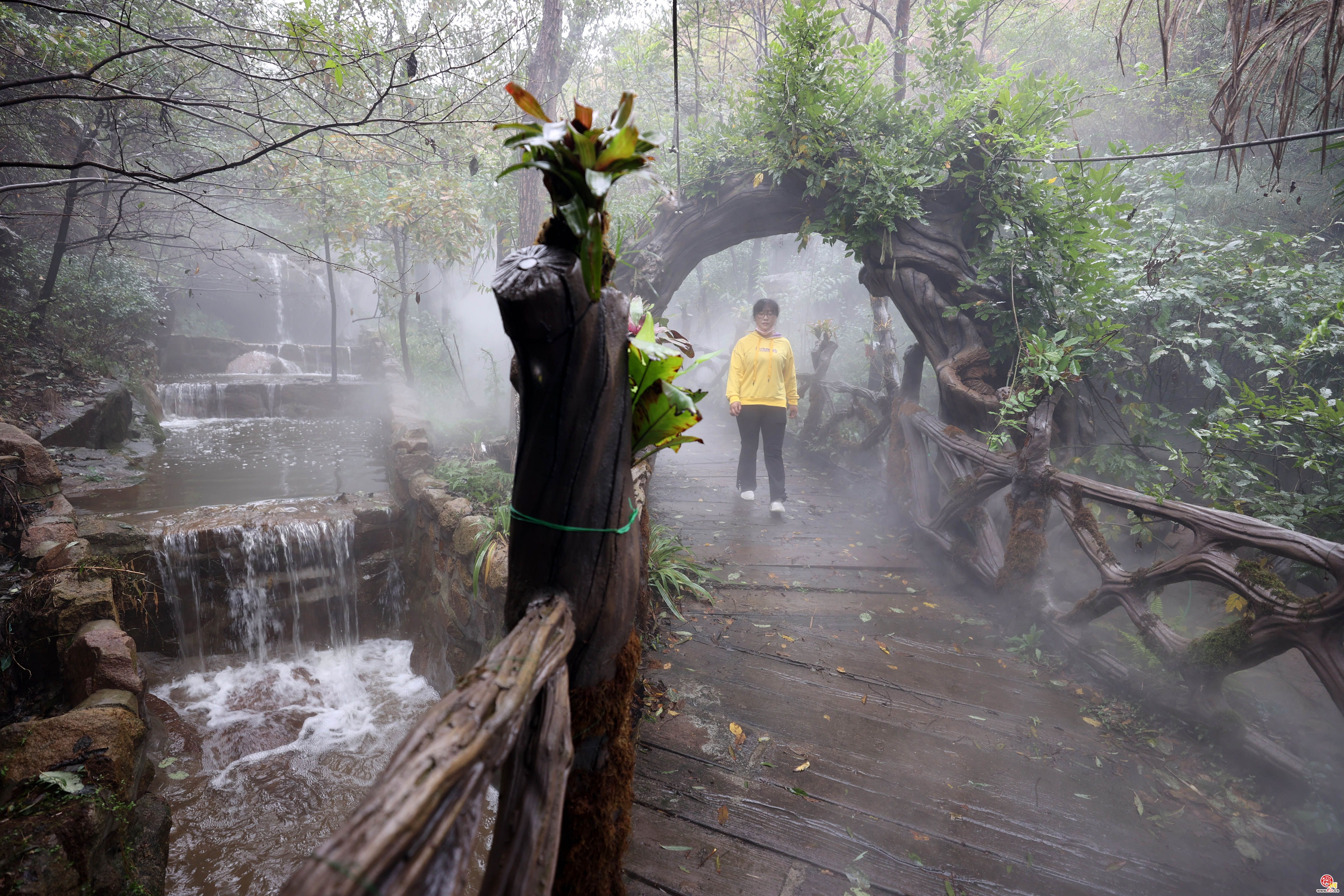 10月2日,许多游客来到济南乐嬉谷雨林瀑布群,漫步雨林谷,走进瀑布群