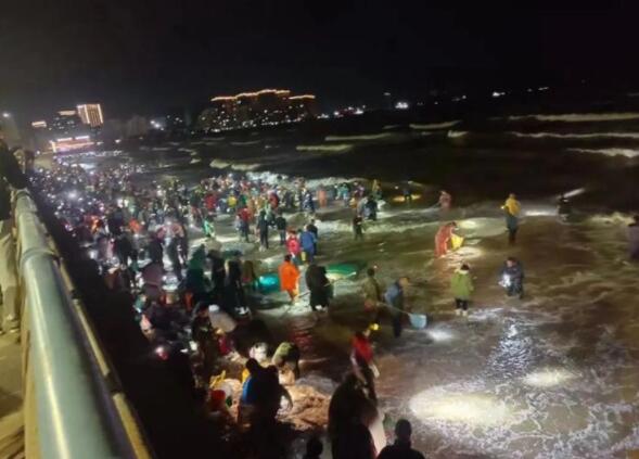 海肠、螃蟹、泸沽虾……烟台“开盲盒”式赶海火了