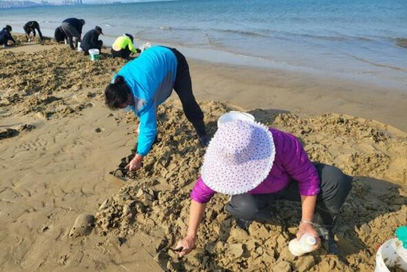 海肠、螃蟹、泸沽虾……烟台“开盲盒”式赶海火了