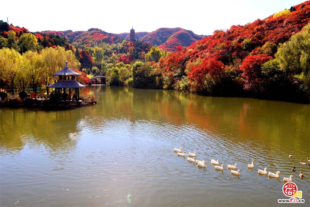 诗境红叶谷金秋美如画