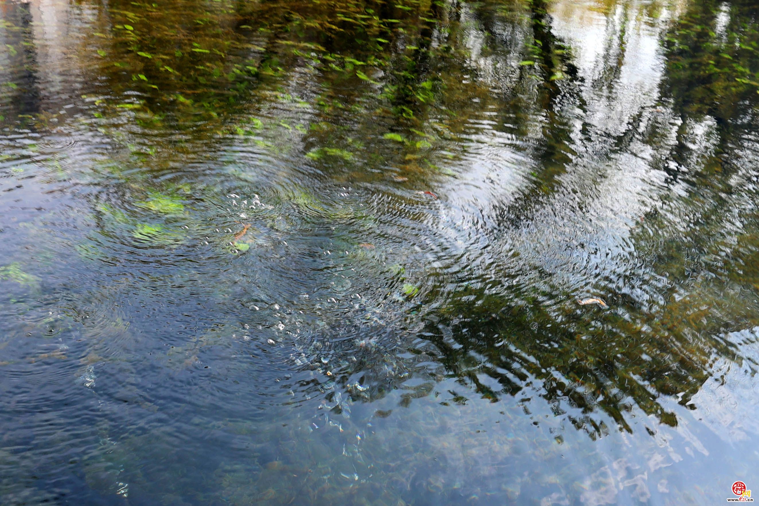 北面坡崖称"塘子崖",其下为奥陶纪石灰岩断层,北端为砂页岩阻水,泉水
