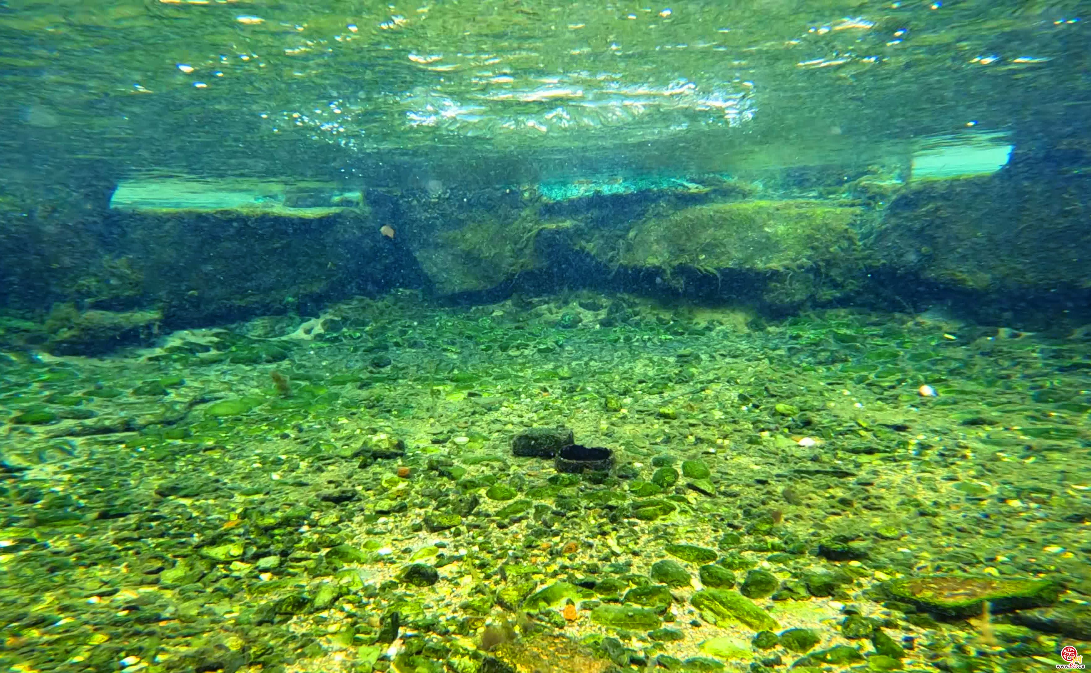 净明泉:水涌似莲花 掬水洗目明