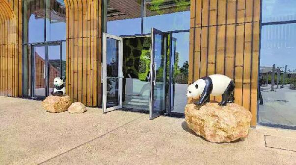 扎根卡塔尔的中国建筑者：给中国大熊猫在卡塔尔安家 承接世界杯决赛场馆建设