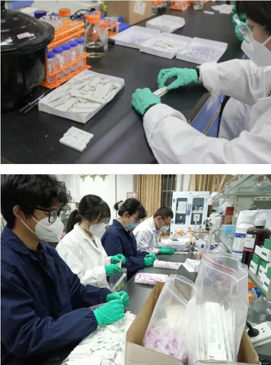 高校师生自制抗原检测试剂盒！网友：学以致用