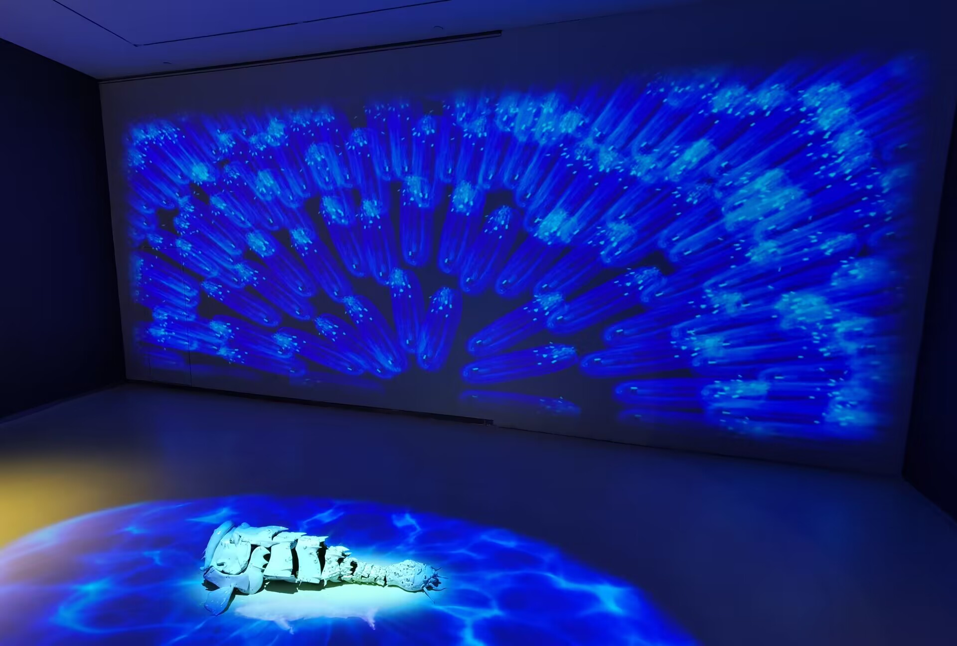 “共生世界—2022济南国际双年展”帷幕揭开 济南市民感受当代艺术的光影魅力