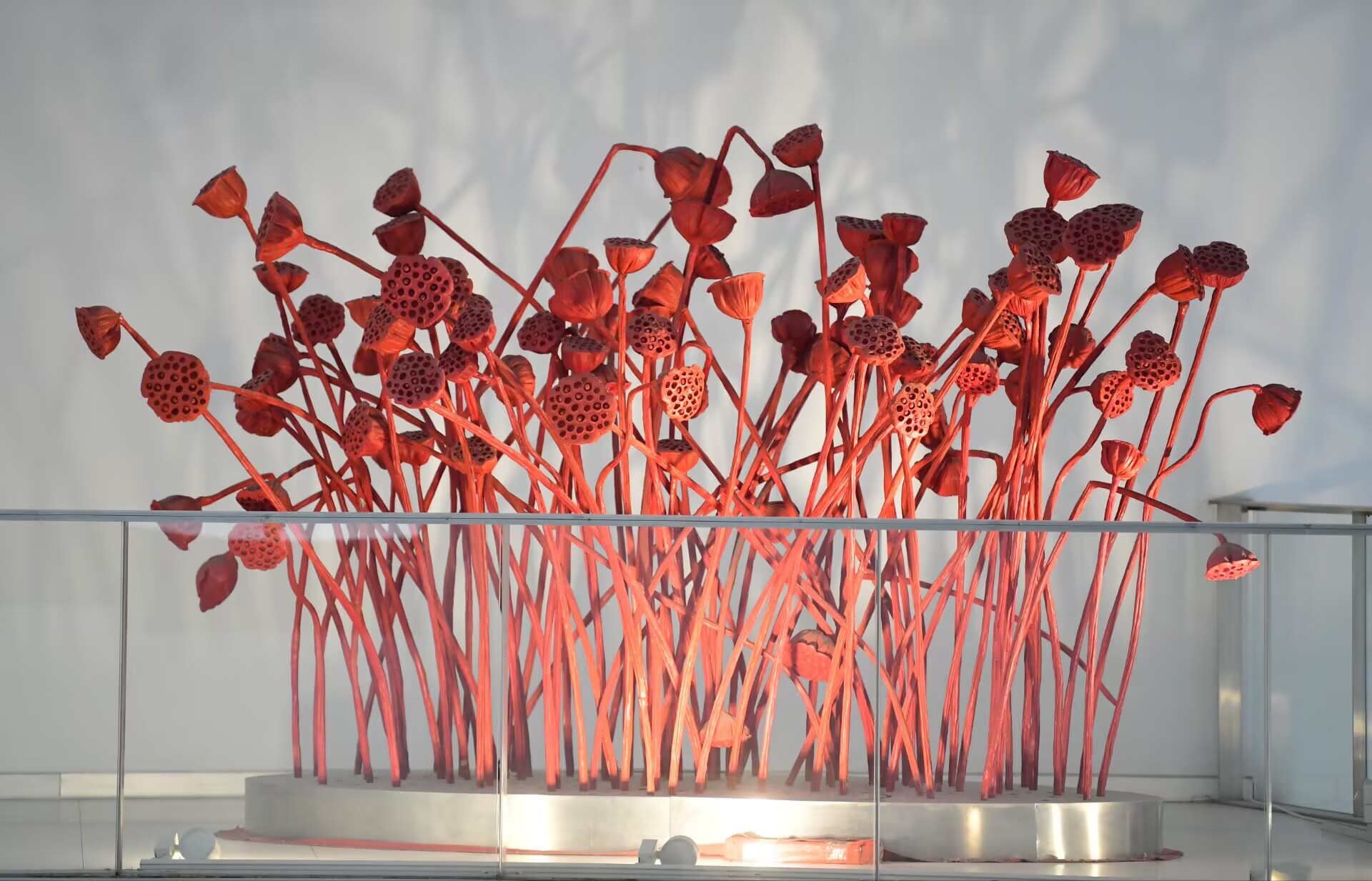 “共生世界—2022济南国际双年展”帷幕揭开 济南市民感受当代艺术的光影魅力