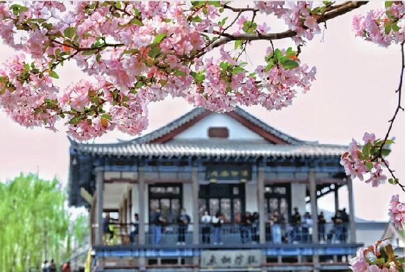 济南赏花攻略出炉：打卡“花花世界” 亲近“久违的春天”