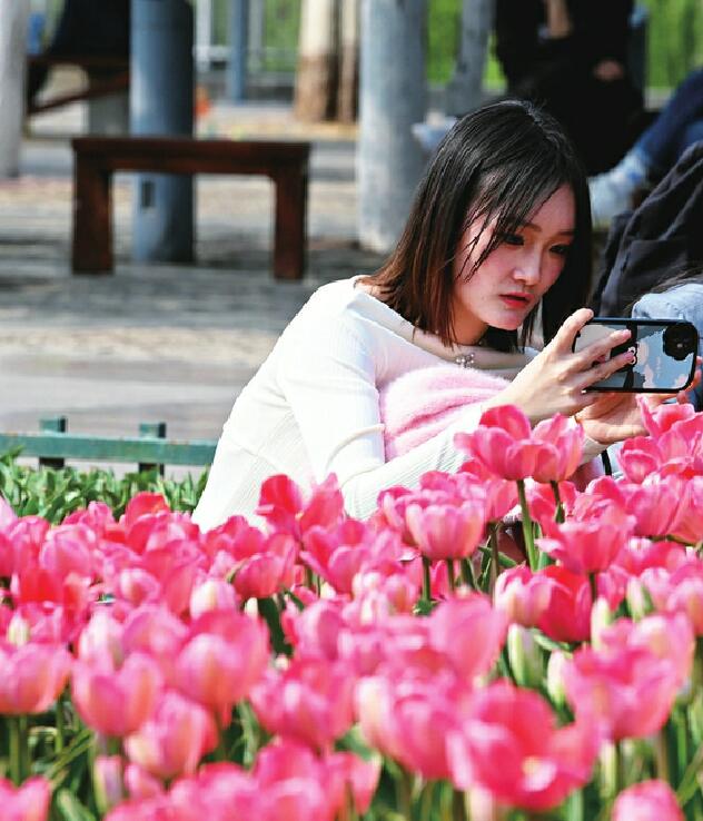 济南赏花攻略出炉：打卡“花花世界” 亲近“久违的春天”