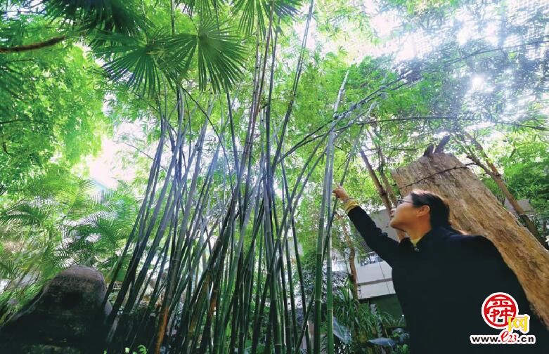 济南森林公园科普基地：在这里邂逅一场“绿野仙踪”奇遇