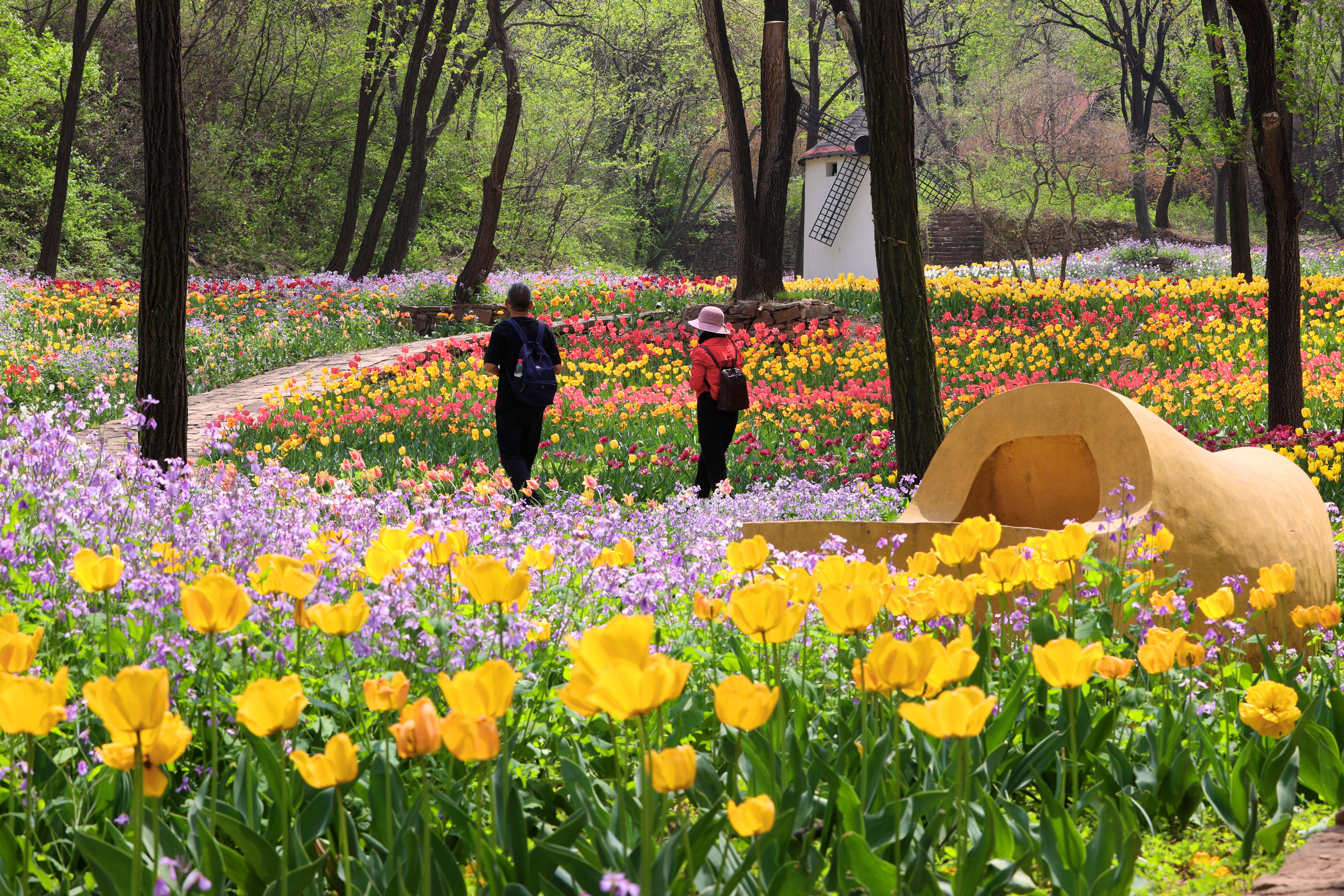 "郁"你相约赏花海 游山玩水度假日 "五一"就来济南这处网红打卡地