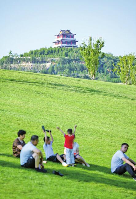 济南黄河大草坪图片