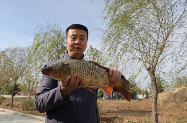之所以引用黄河水,是因为李学圣和养殖户们决定为鲤鱼门再造一个"黄河