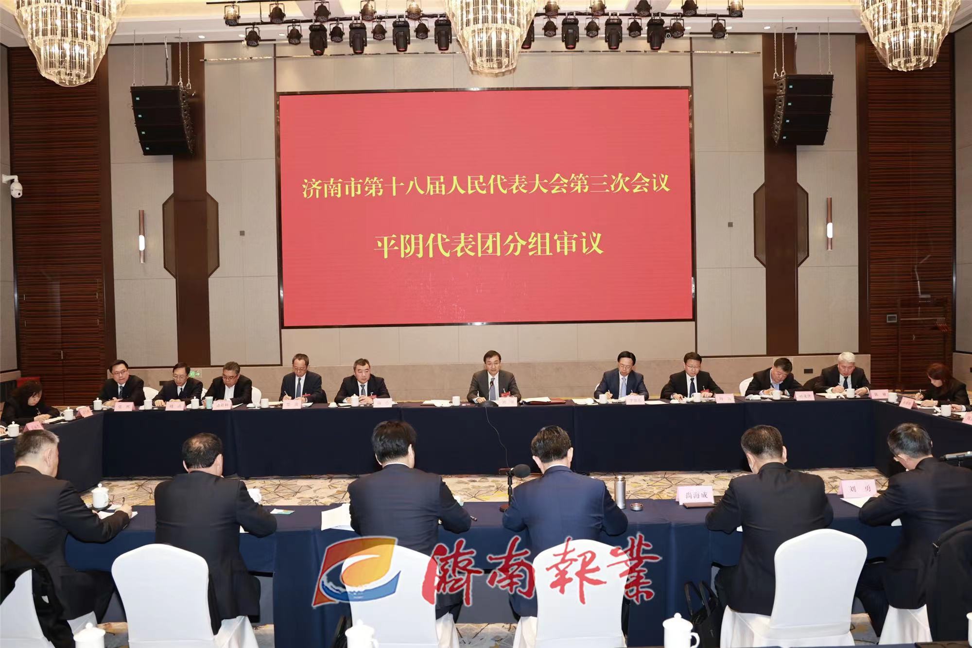 刘强参加平阴代表团审议政府工作报告时强调：扎实推进“项目深化年” 为强省会建设贡献力量